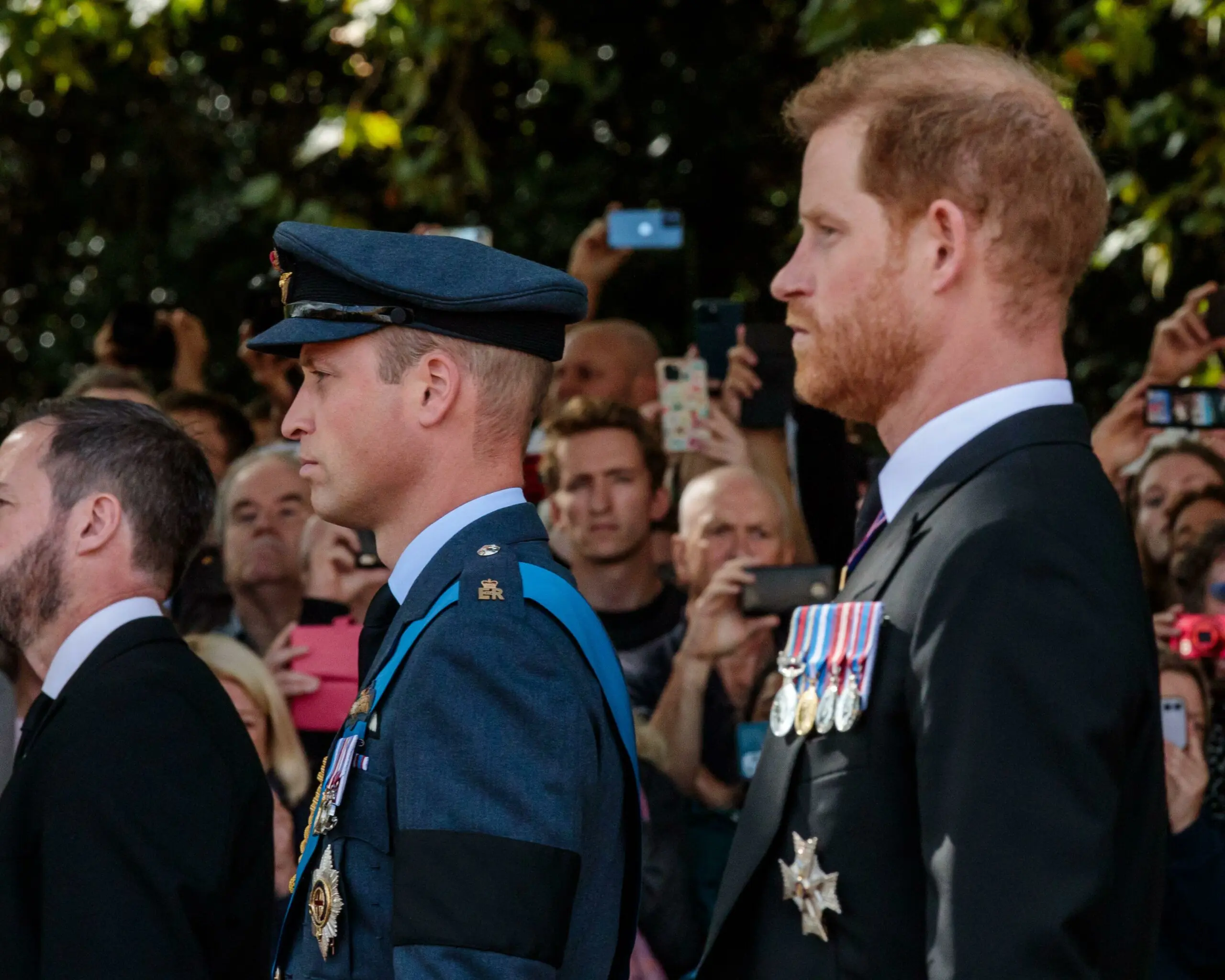 wp-image-1263188040 size-full