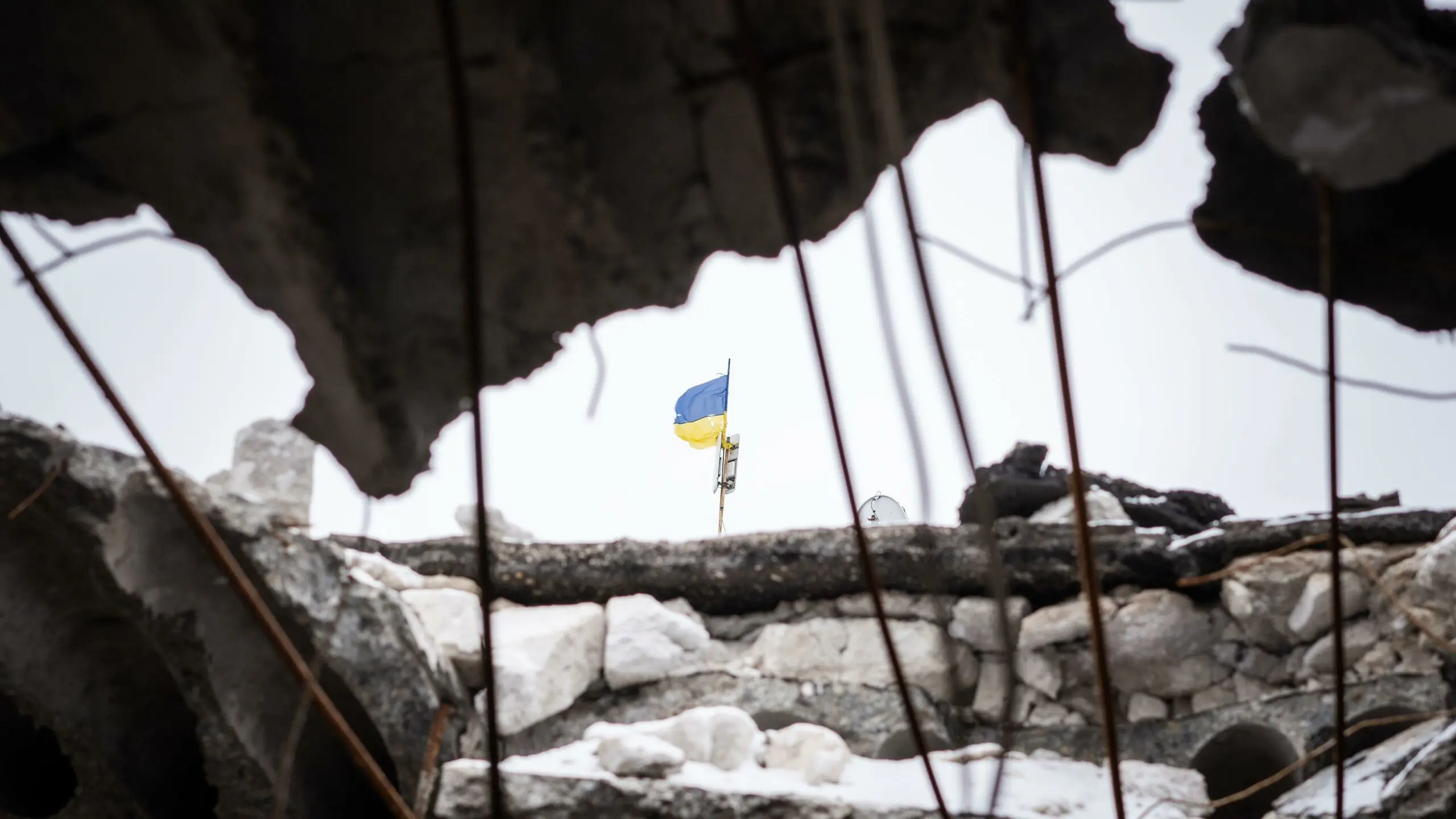 size-full wp-image-1263187838