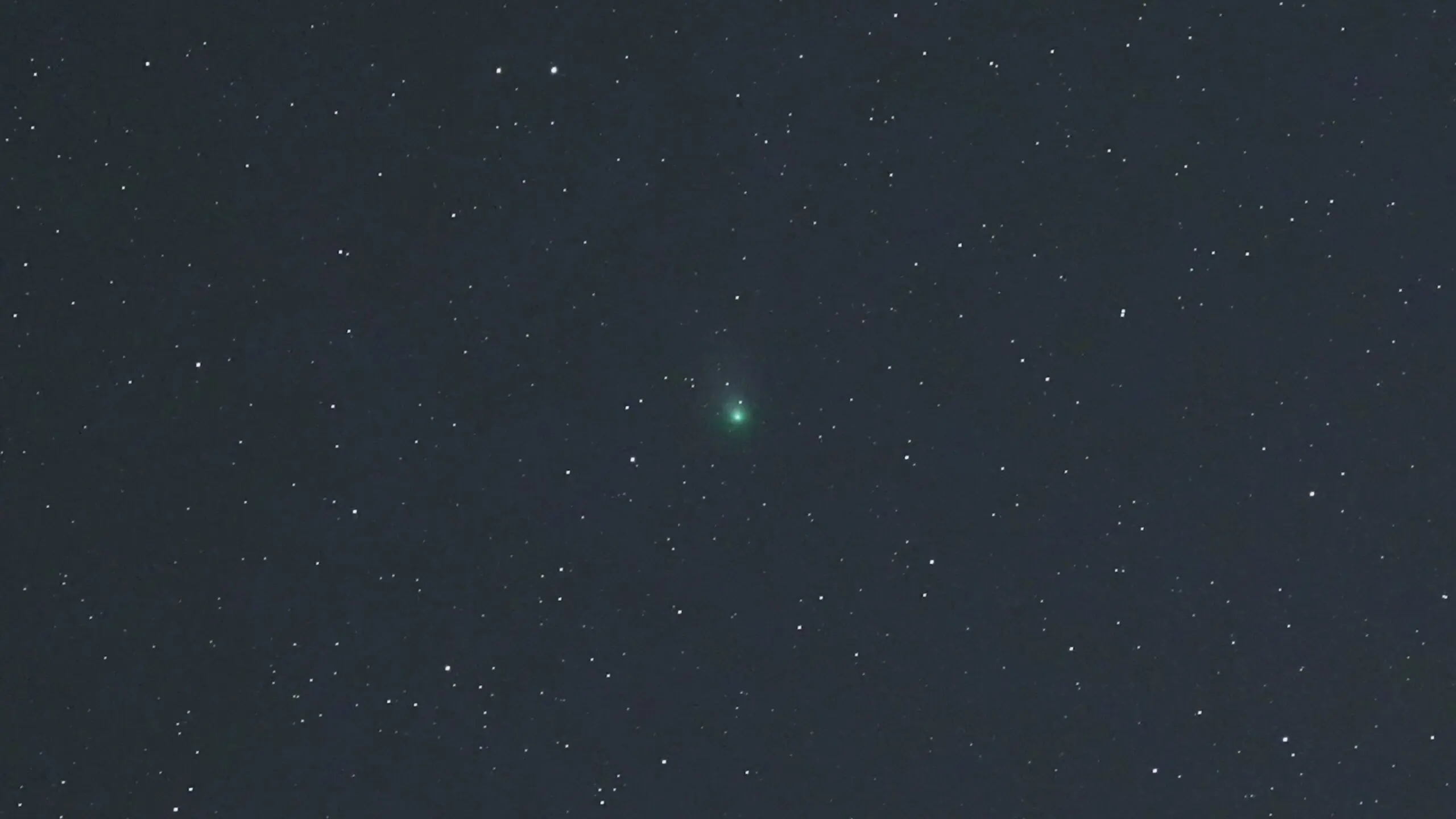 wp-image-1263191783 size-full