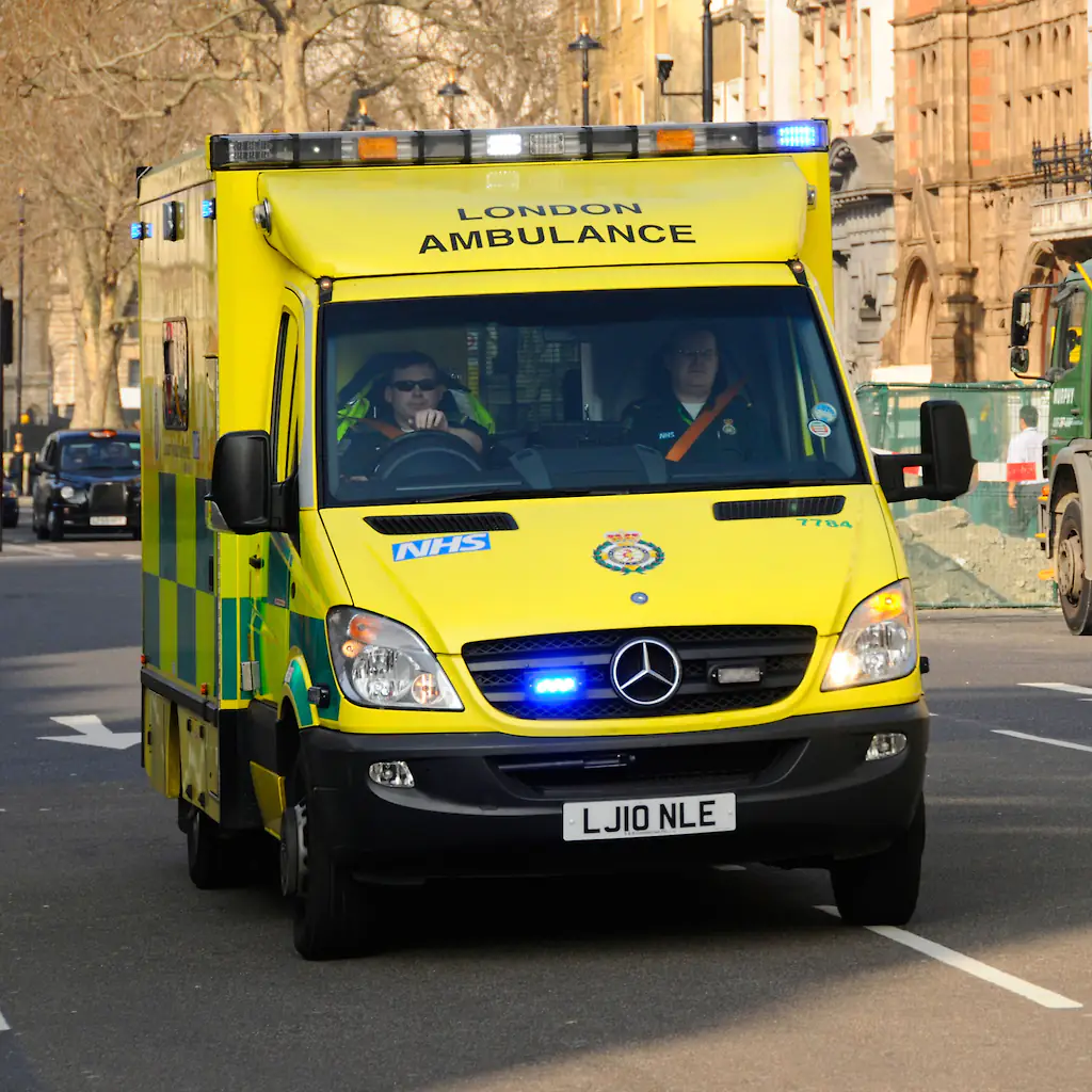 size-full wp-image-1263187598