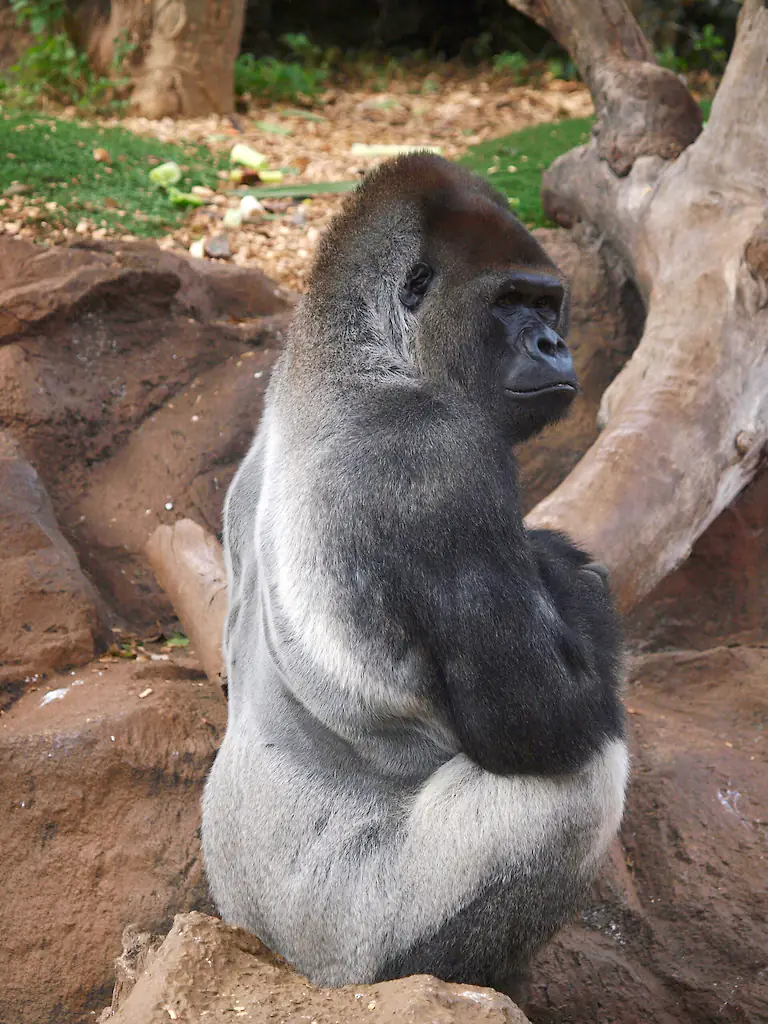 size-full wp-image-1263190691