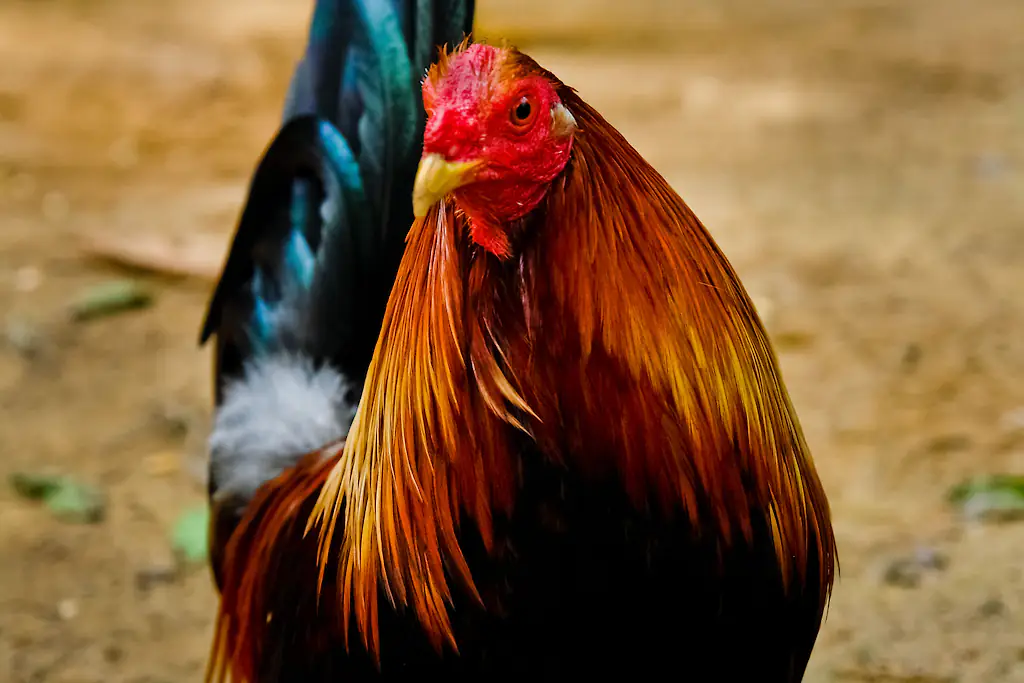 size-full wp-image-1263190419