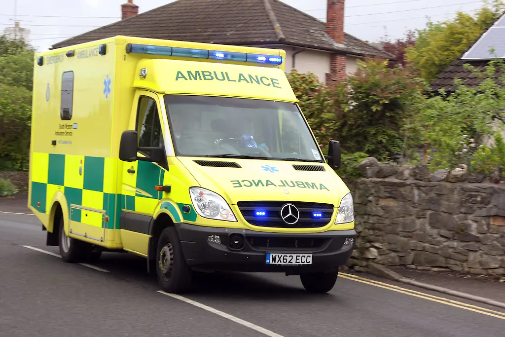 size-full wp-image-1263192100