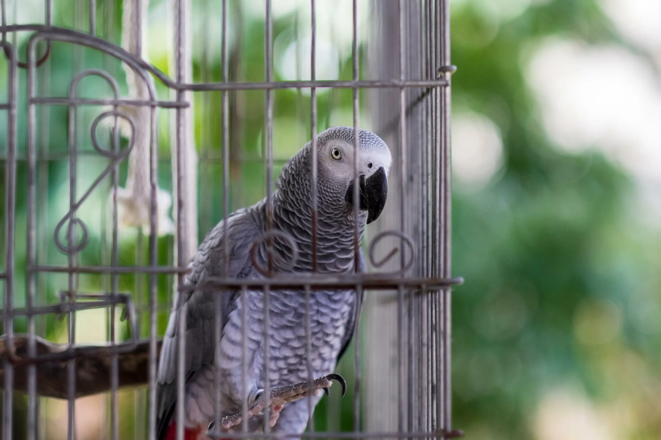 wp-image-1263190462 size-full