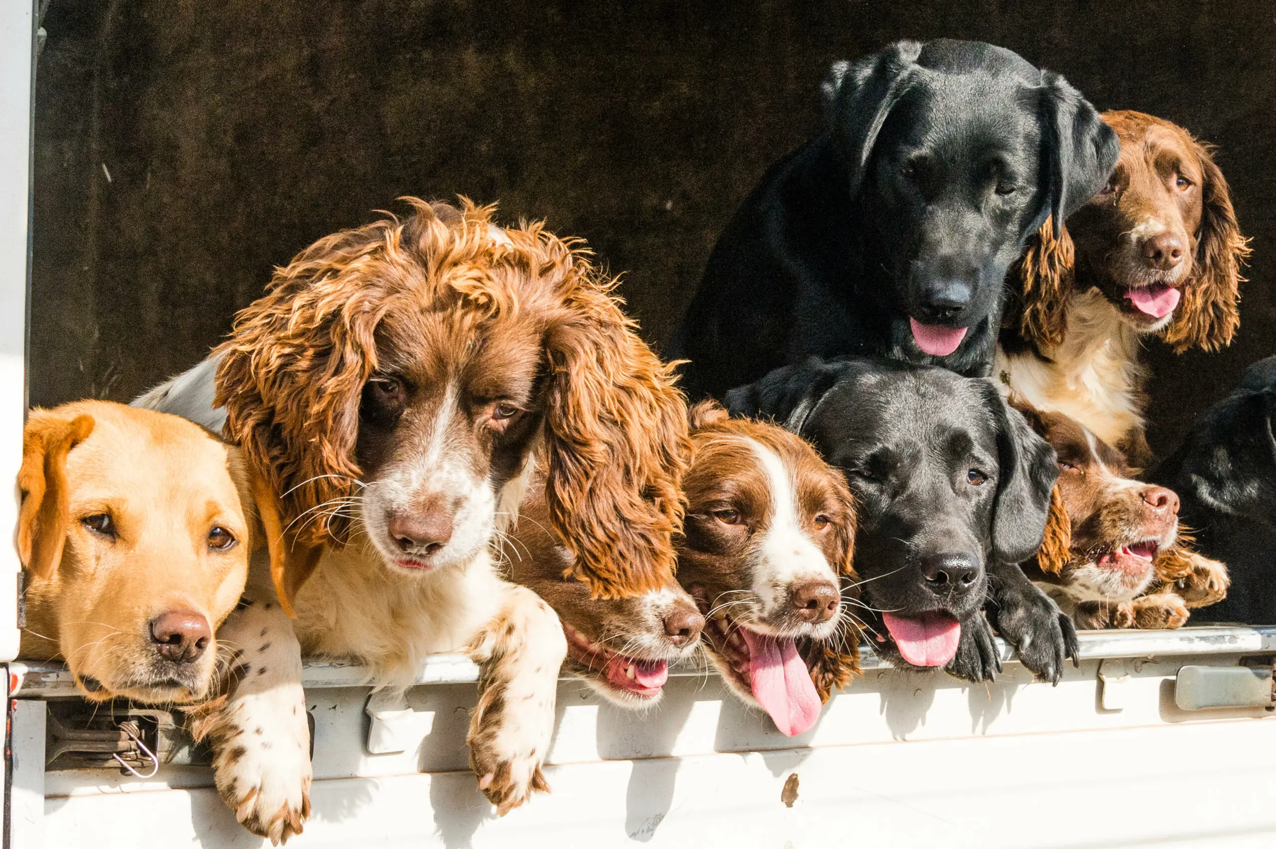 wp-image-1263189843 size-full