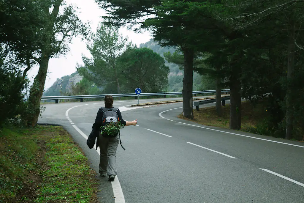 size-full wp-image-1263187347