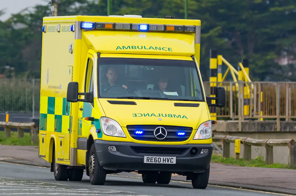 size-full wp-image-1263192098