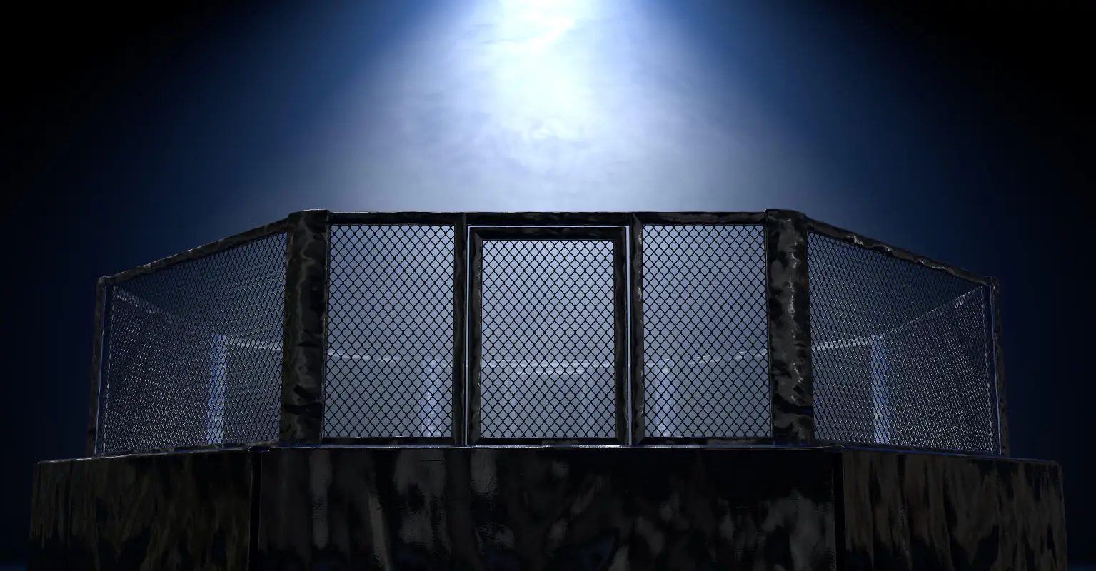 Rising MMA star Victoria Lee dies aged 18