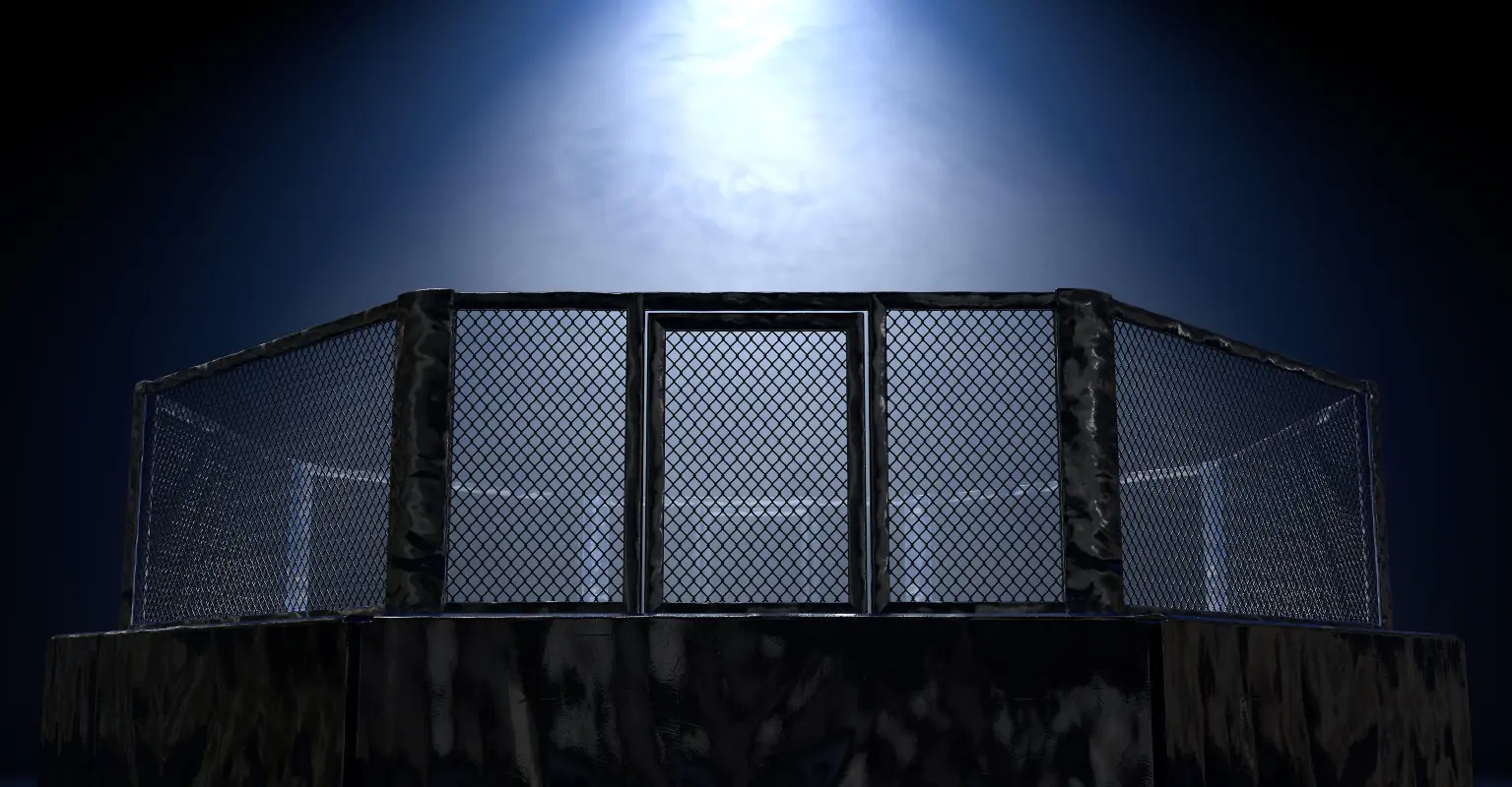 Rising MMA star Victoria Lee dies aged 18