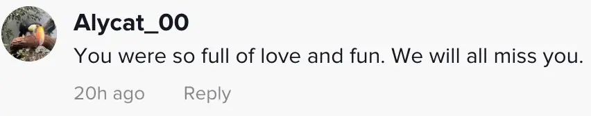 wp-image-1263189021 size-full