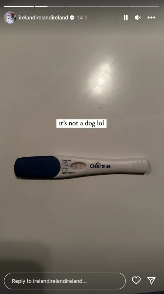 wp-image-1263187080 size-large