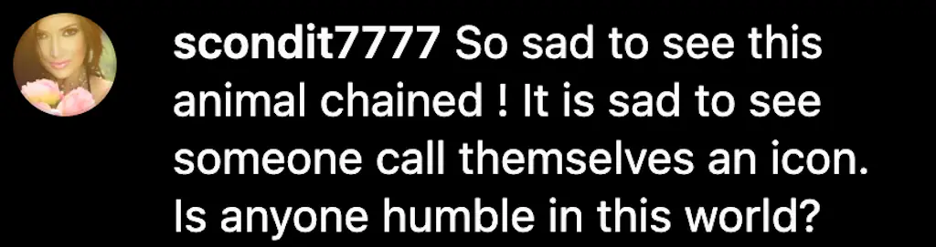 size-full wp-image-1263187262