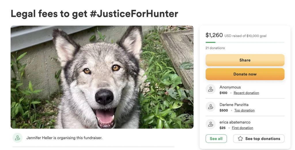 size-large wp-image-1263189328