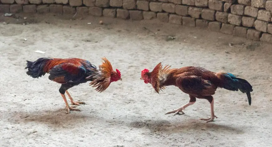 size-full wp-image-1263190414