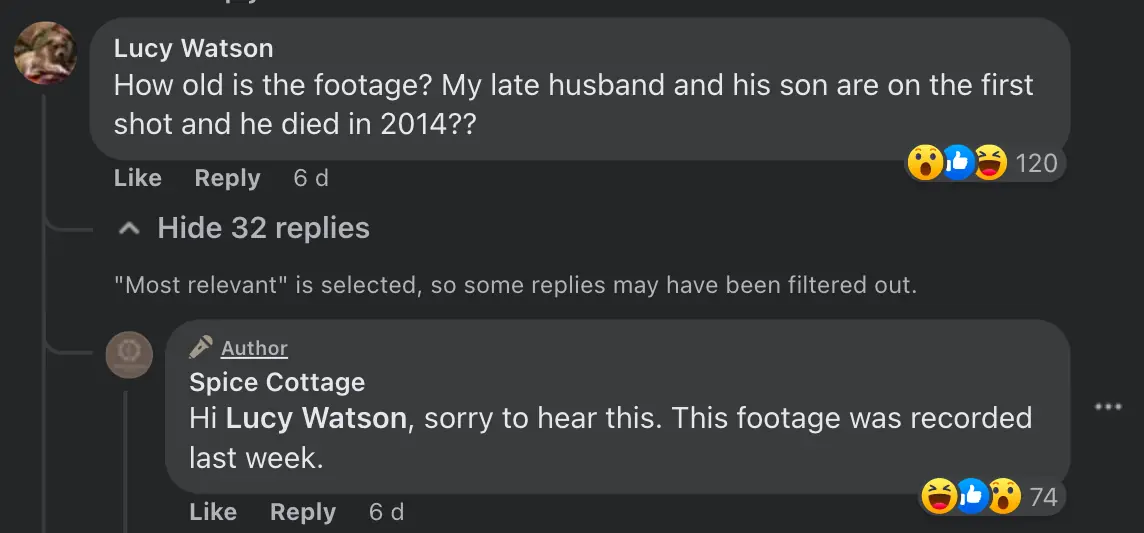 size-full wp-image-1263190774