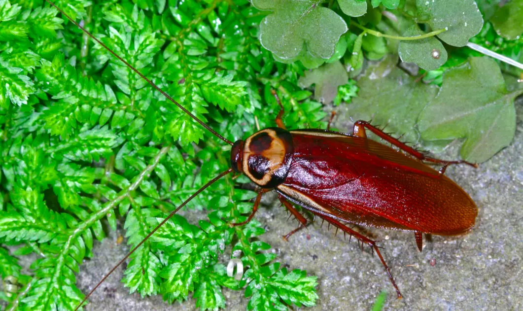 size-full wp-image-1263192028