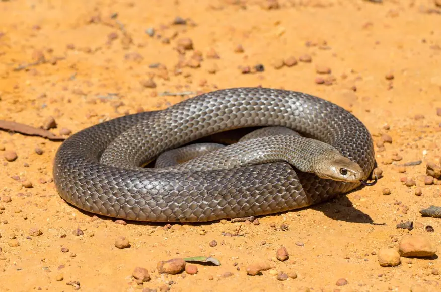 size-full wp-image-1263192400