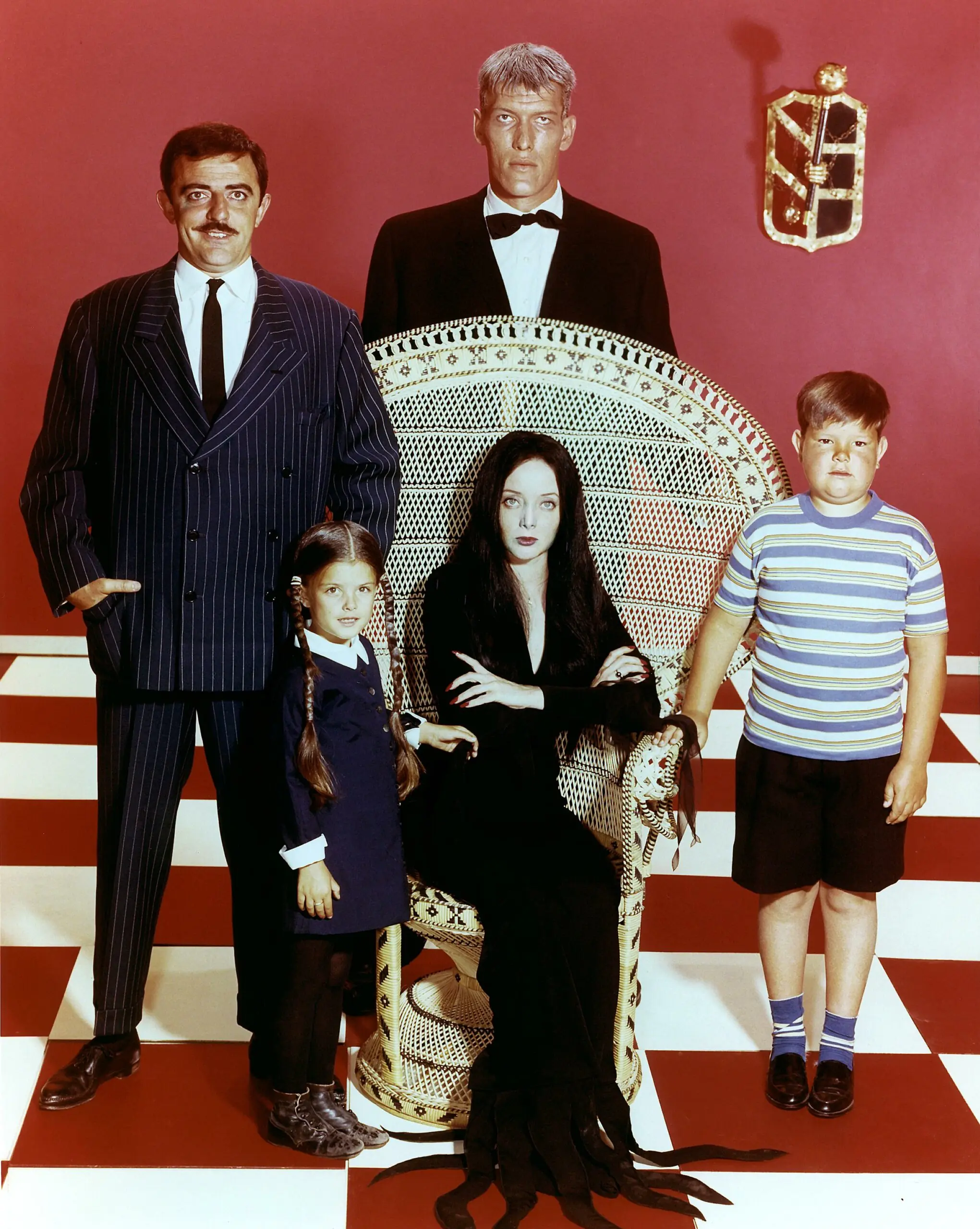 wp-image-1263191978 size-full