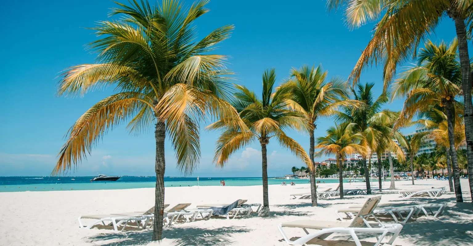 wp-image-1263189593 size-full