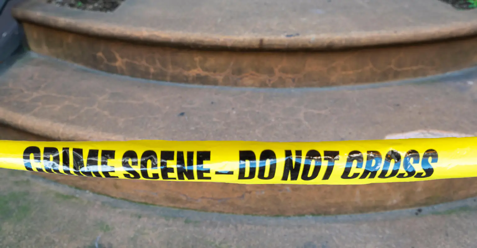 Girl, 12, taken into custody after fatally stabbing brother, 9