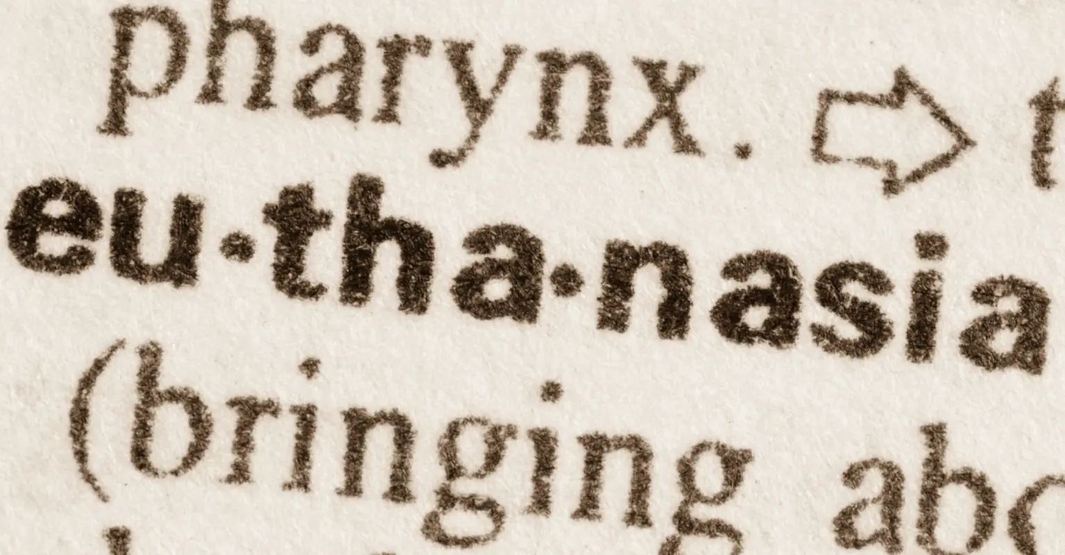 Influencer with '40 different personalities' fights for right to be euthanized