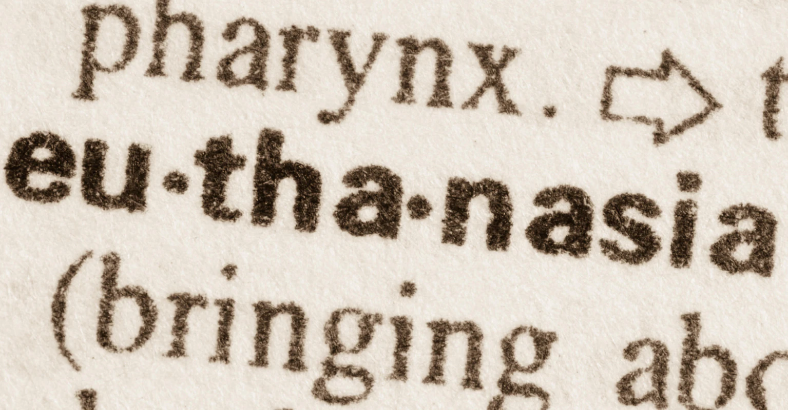 Influencer with '40 different personalities' fights for right to be euthanized