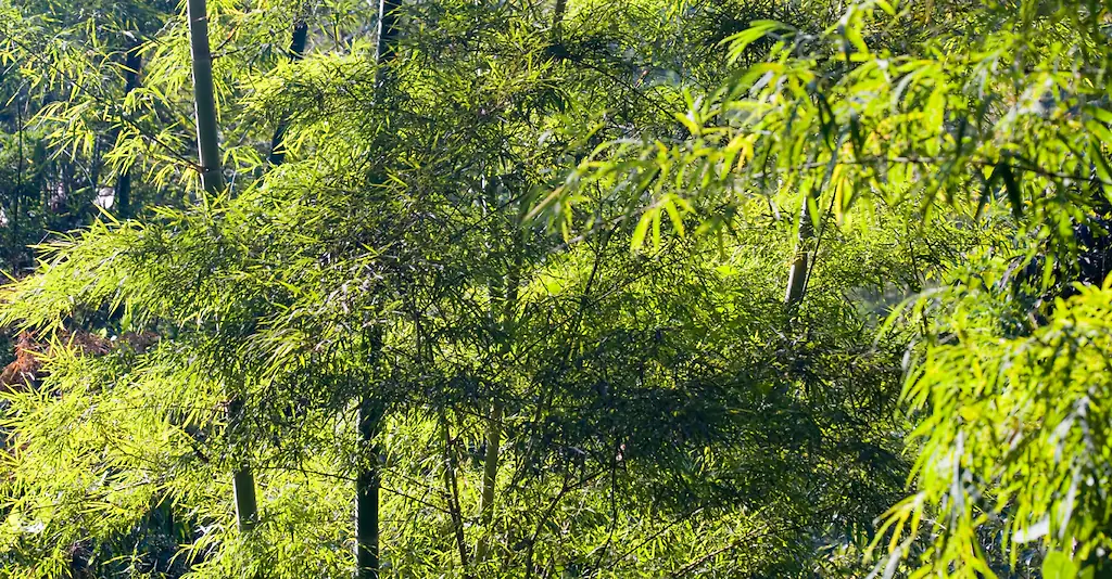 size-full wp-image-1263187350