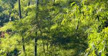 size-full wp-image-1263187350