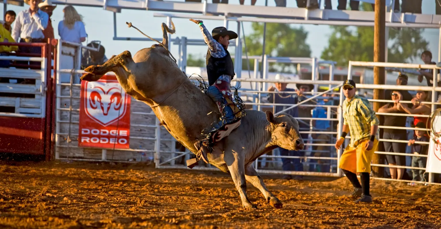 Cowboy killed by bull during New Year's Eve rodeo
