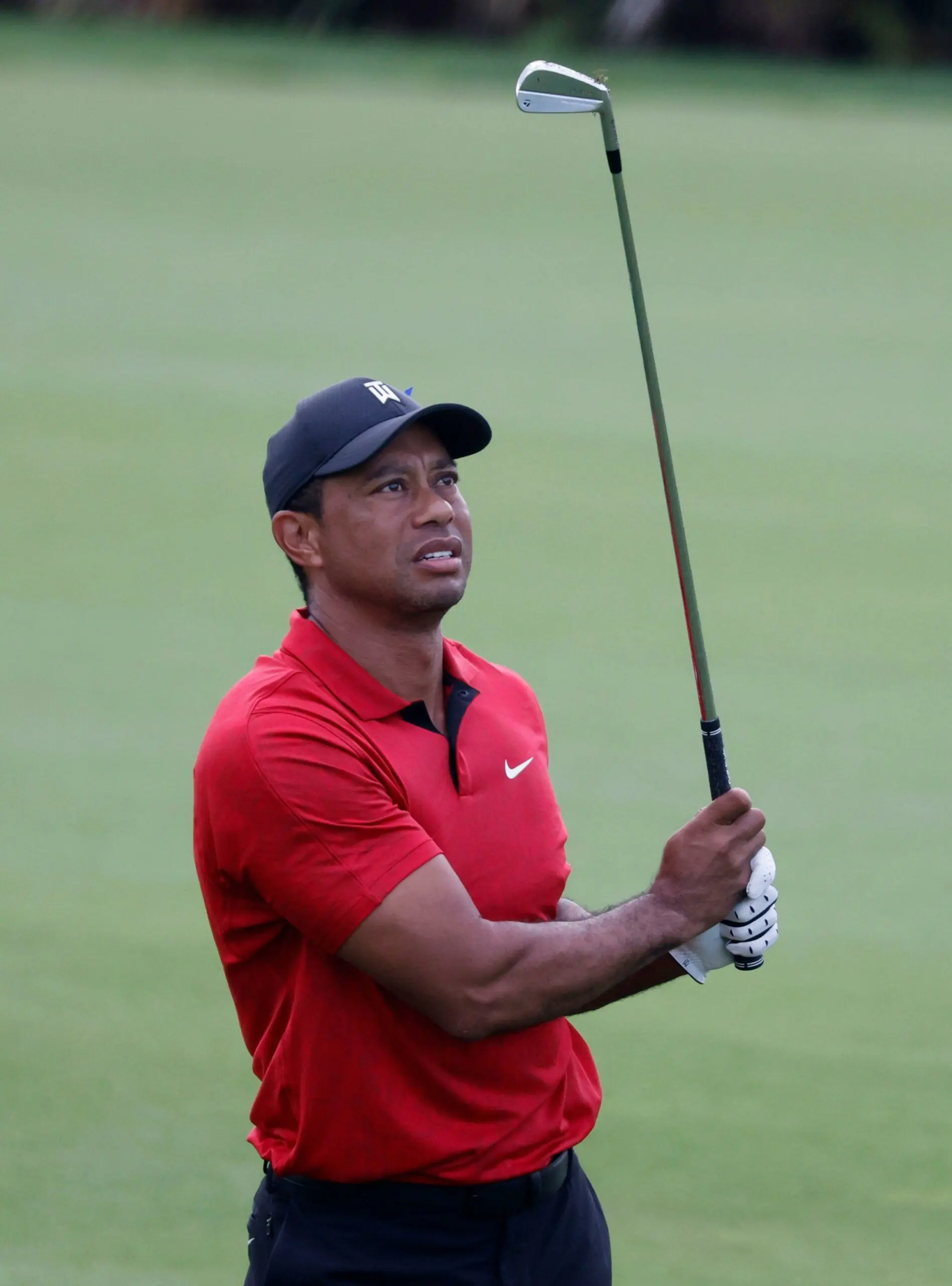 size-full wp-image-1263195718