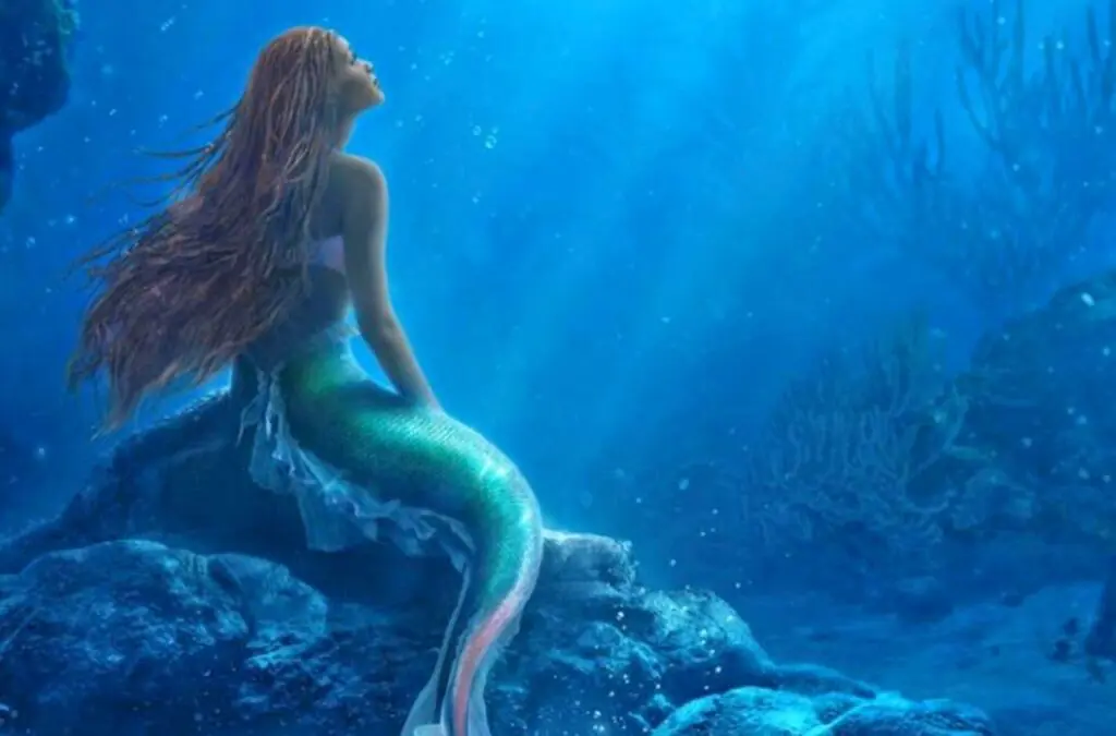 wp-image-1263195430 size-large