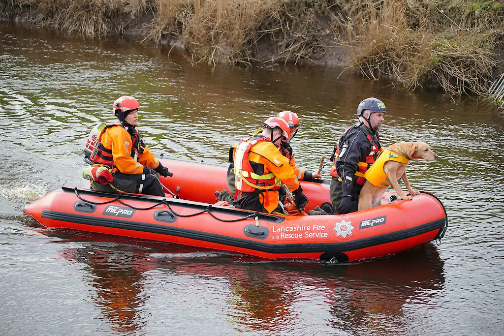 wp-image-1263194116 size-full