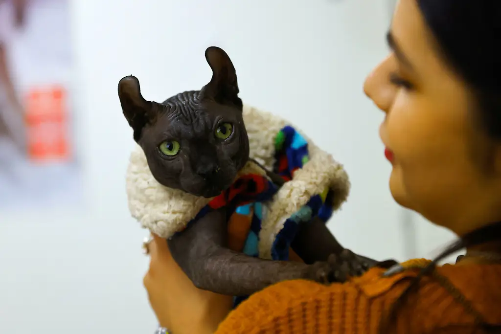 wp-image-1263197036 size-full