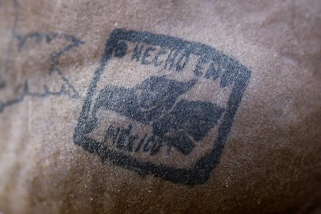 wp-image-1263197035 size-full