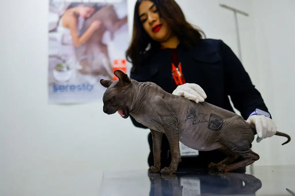 wp-image-1263197033 size-full