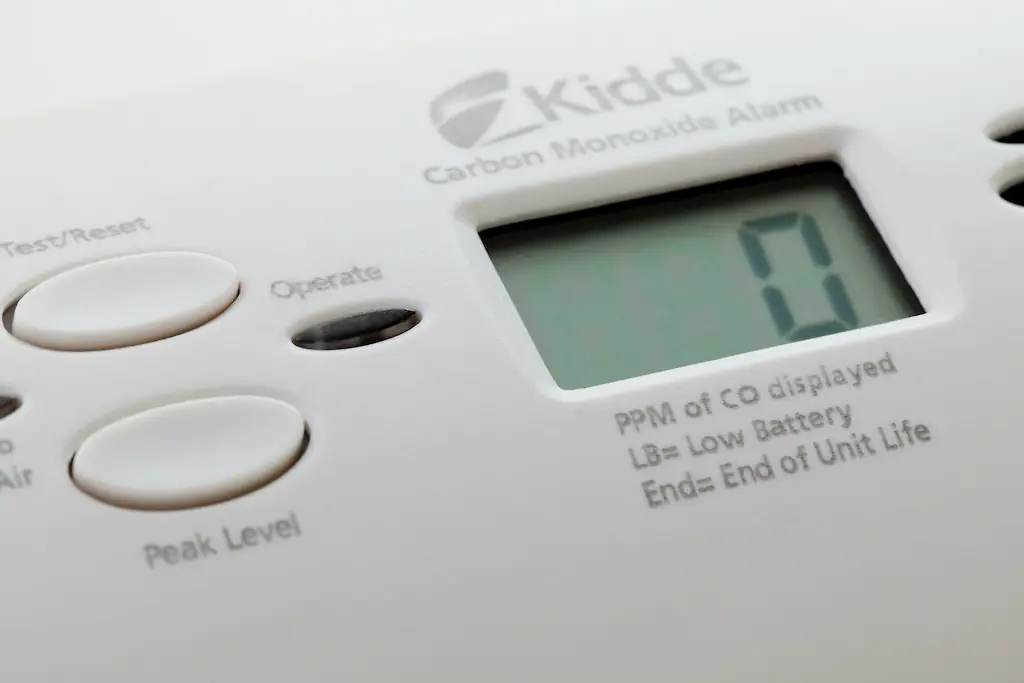 size-full wp-image-1263196026