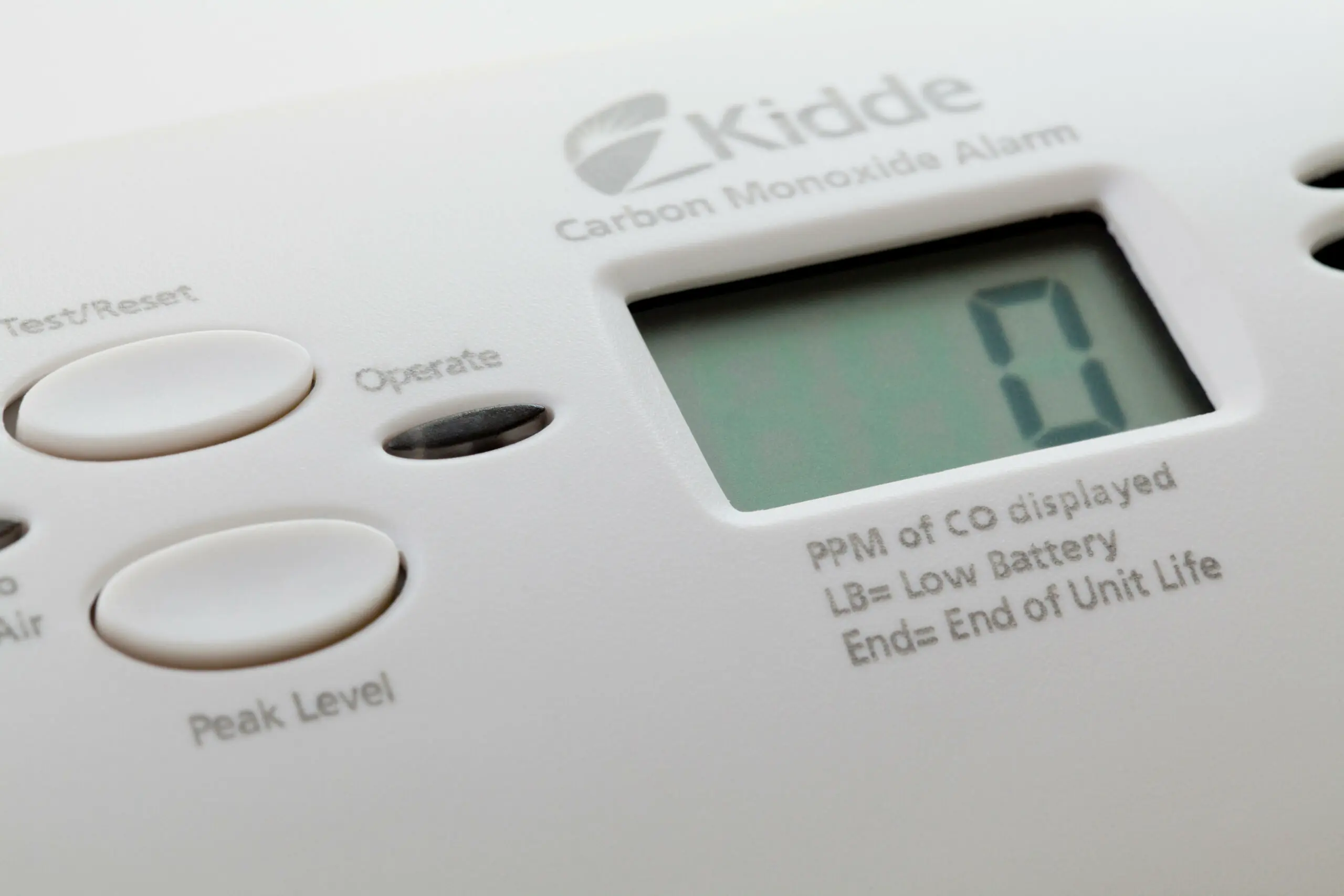 size-full wp-image-1263196026