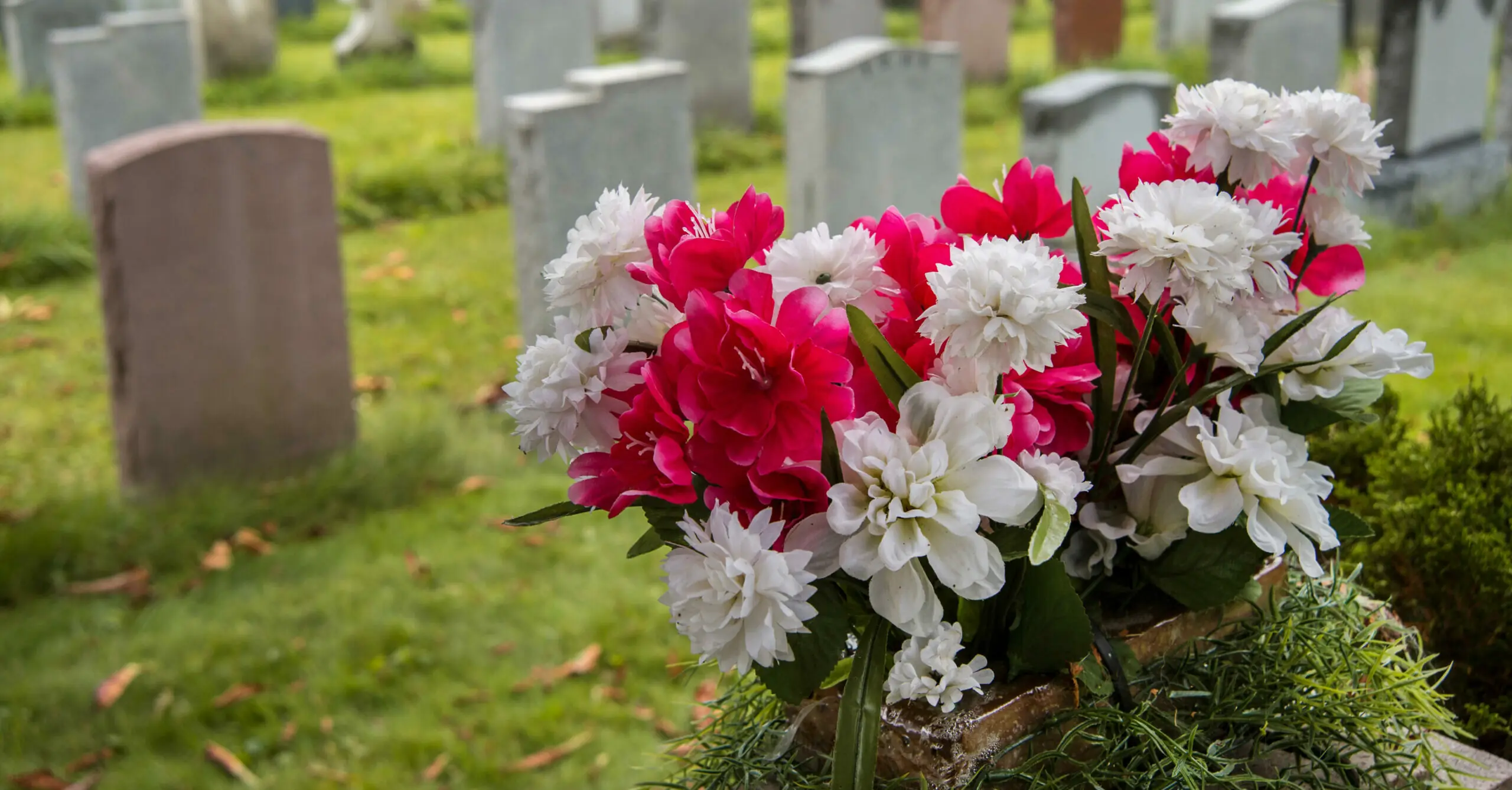 Woman, 95, who was tasered by police in nursing home dies