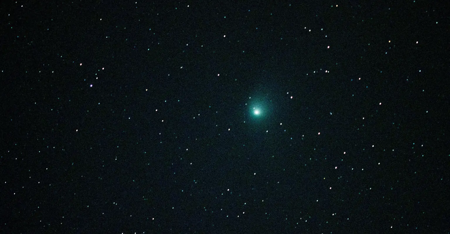 wp-image-1263192568 size-full