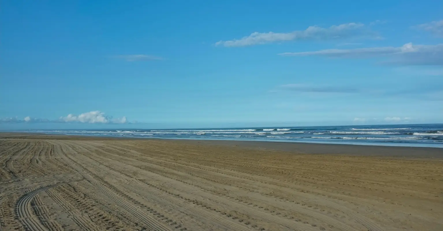Japanese officials investigating mysterious sphere that washed up on beach