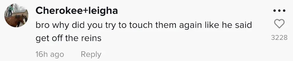 wp-image-1263193627 size-full