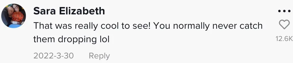 wp-image-1263197068 size-full