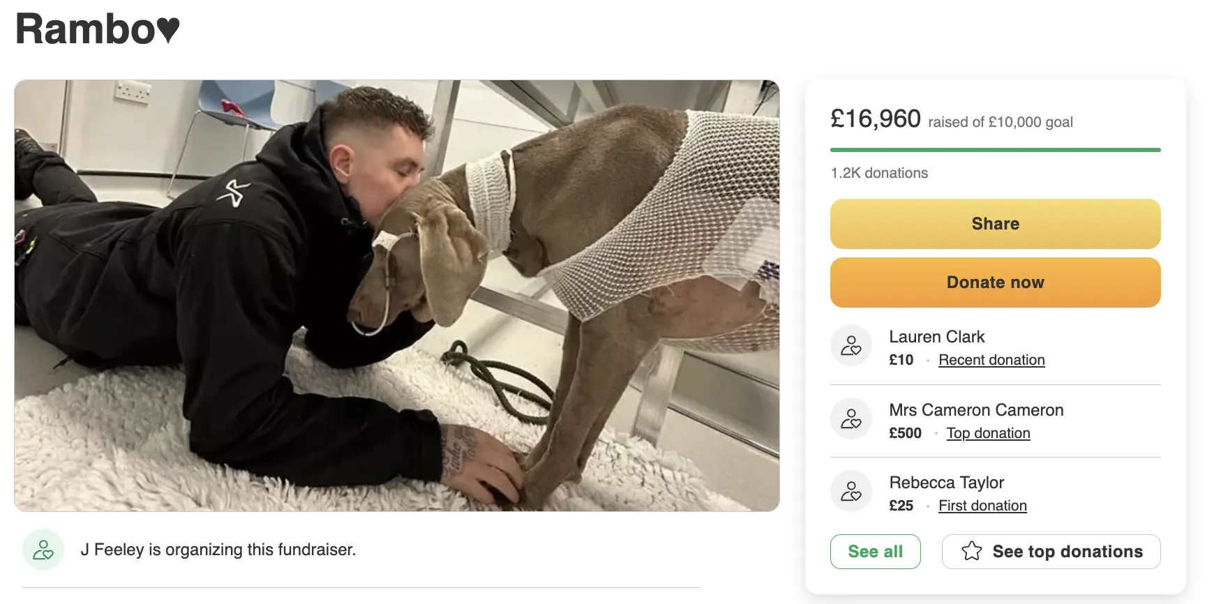 Man facing $25,000 vet bills says he'd 'sell his house' to keep her alive - Article Image 1