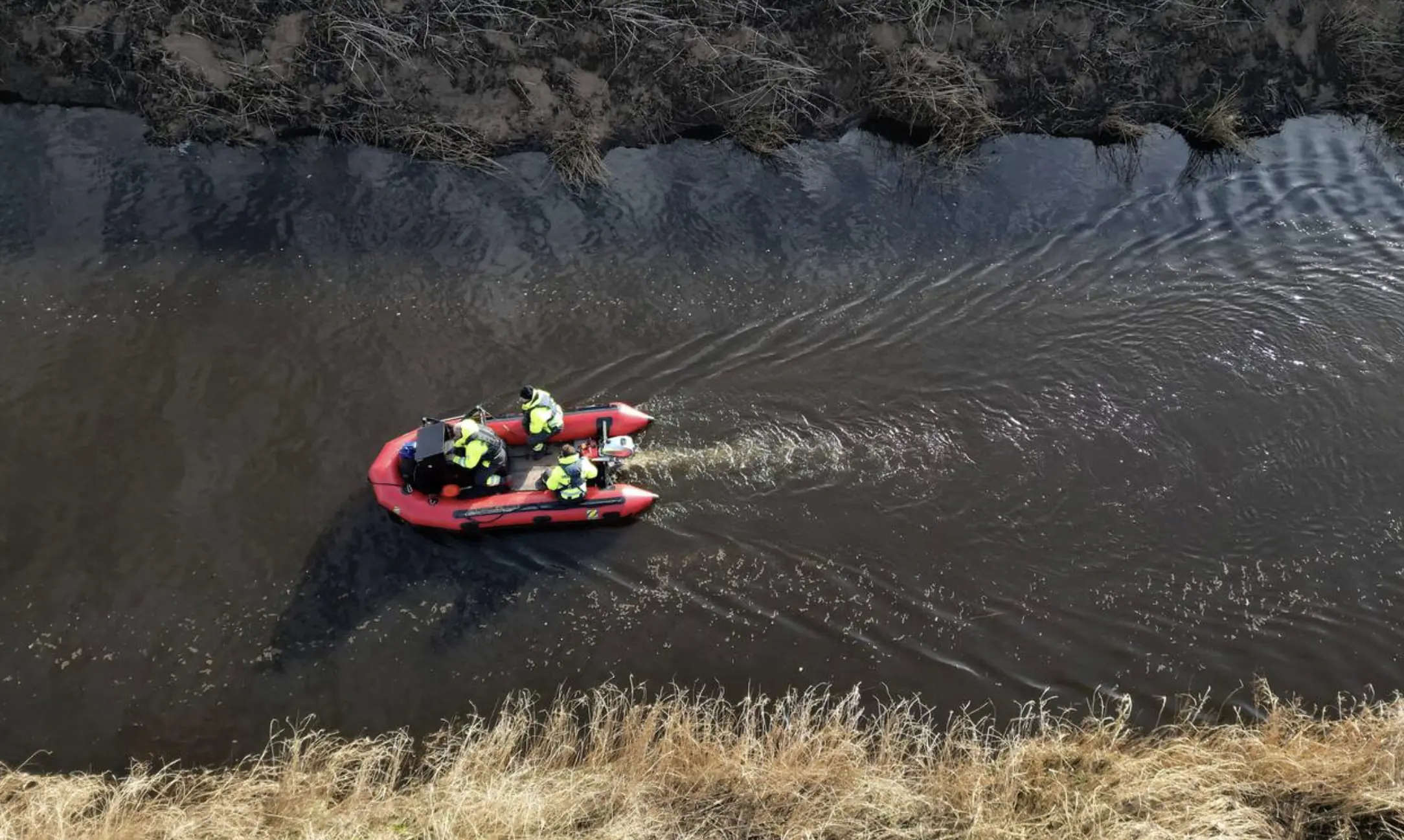 wp-image-1263194243 size-full