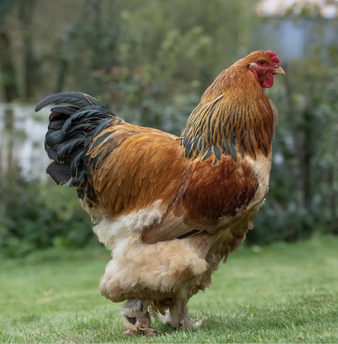 wp-image-1263195422 size-full