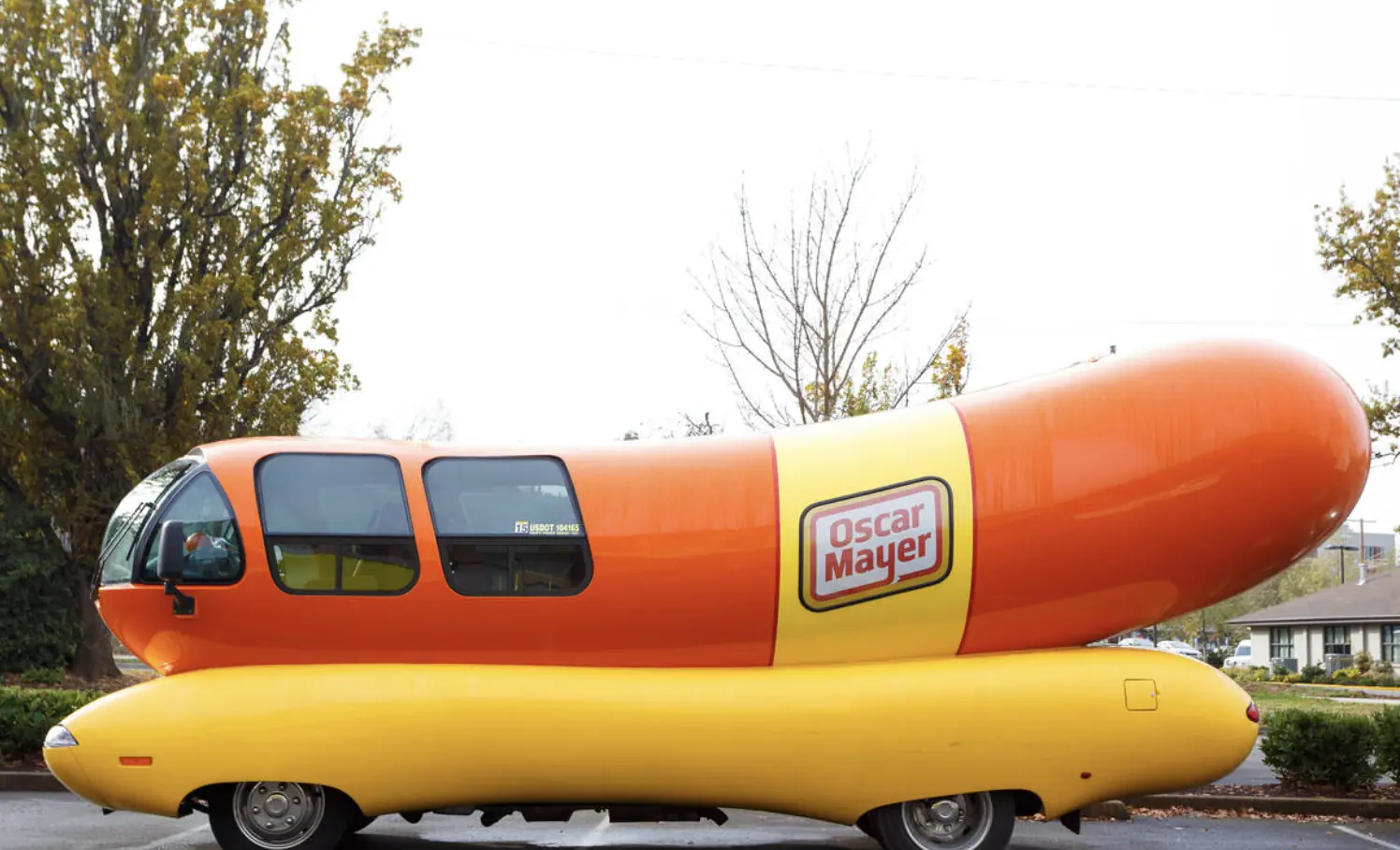 size-full wp-image-1263195572