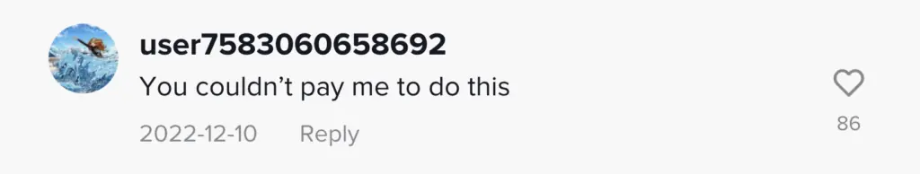 wp-image-1263196844 size-large