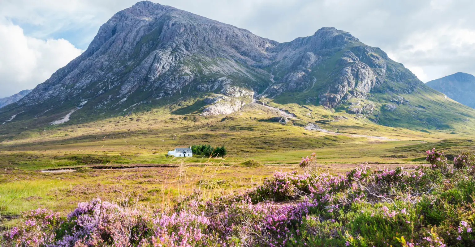 Man falls nearly 100ft to death 'most likely' due to carrying his dog 'with one hand'