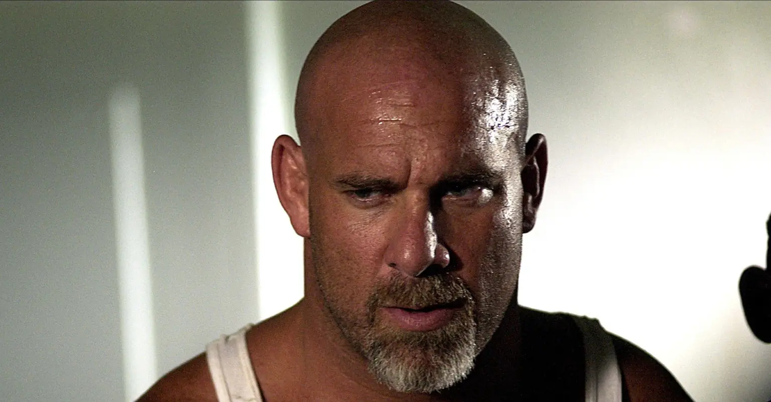 WWE star Bill Goldberg blasts Rihanna's halftime show: 'I was disgusted by it'