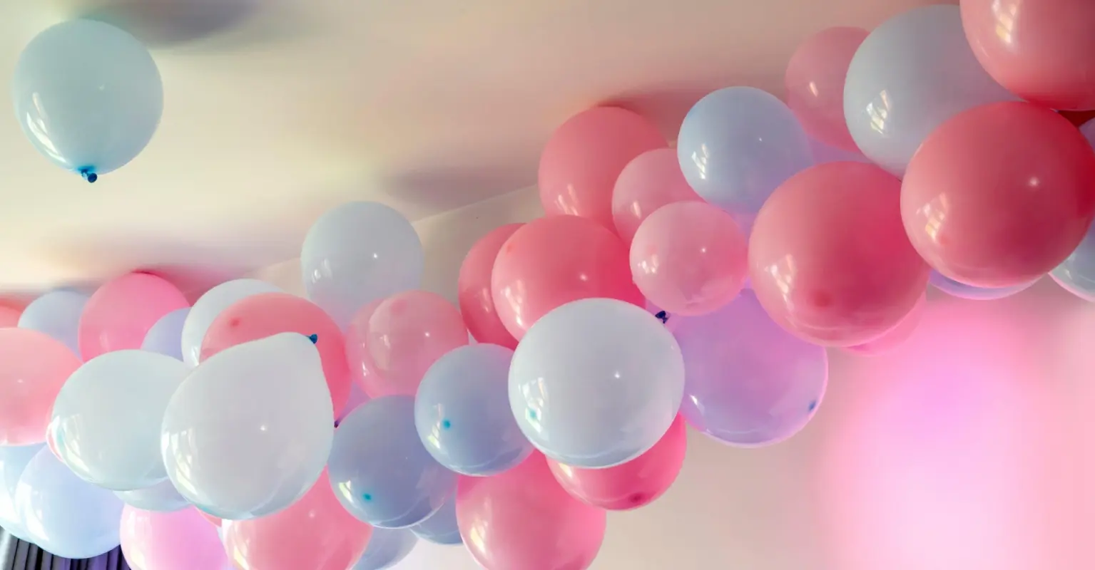 Pink pigeon rescued after likely being used in a gender reveal party